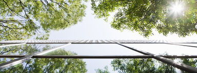 Glass-walled building reflecting trees