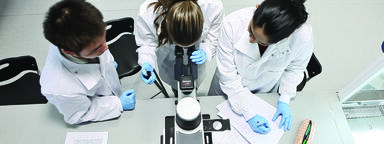 Students in the lab