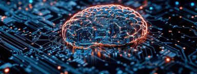 Computational Brain