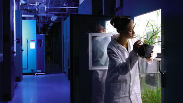 Lab