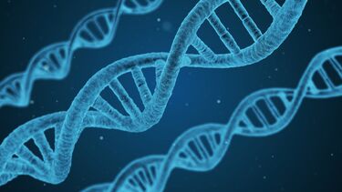 DNA strand 