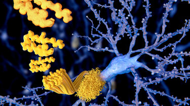 Amyloid beta peptide alzheimers