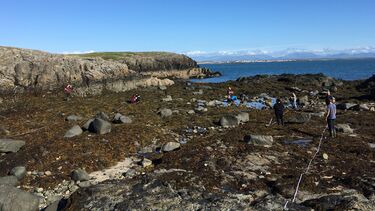 Anglesey field course general
