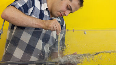 water lab