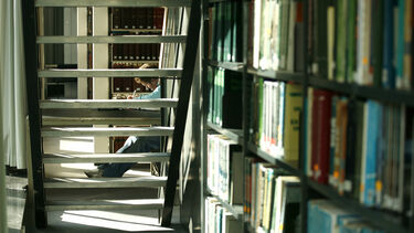 Image in library