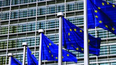 EU flags outside building 