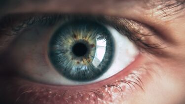 eye image 