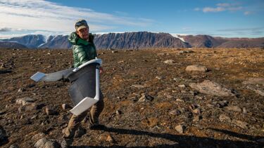 Arctic greening