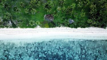 An aerial beach shot of a tropical beach with turquoise water in Fiji islands