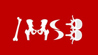 The banner of IMSB group