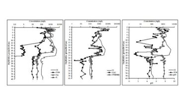 Profiles of leachate migration through the unsaturated zone of the Triassic Sandstone from previous studies
