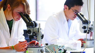 Students with microscopes