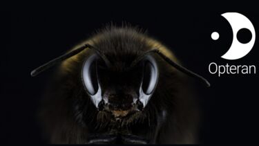SR - Opteran