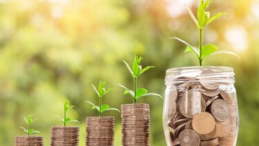 5 stacks of coins increasing in size with green shoots growning from them