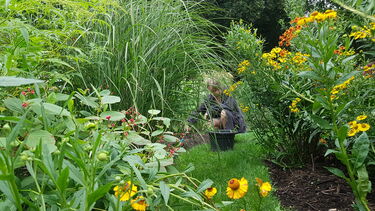 BA Architecture and Landscape student Katherine Langley on placement at Sussex Prairie Garden