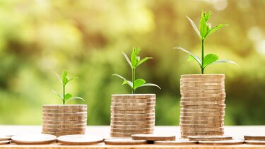 Green shoots growing from stacked coins