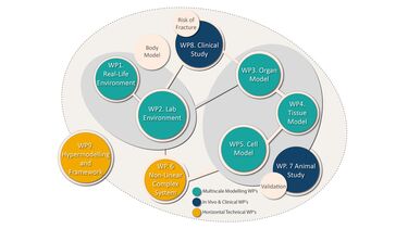 MultiSim Work Package Flow Chart, shows how the 9 work packages are related to each other.