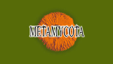 "METAMYCOTA"