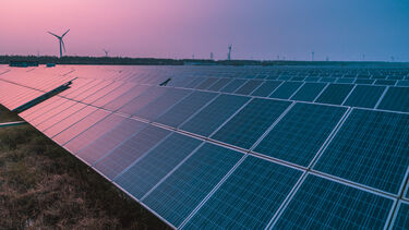 A field filled with solar panels, with wind turbines in the background