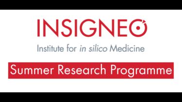 Insigneo Summer Research Programme Graphic