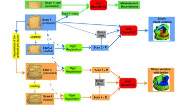 Workflow of the image processing