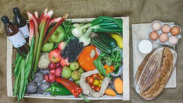 Regather vegetable box