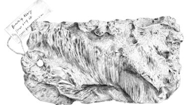drawn rooftile