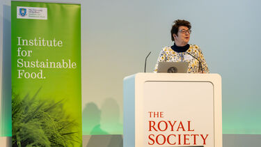 Professor Sue Hartley