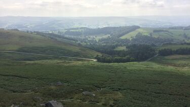 An image of a landscape