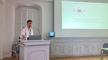 Matt's talk at Kloster Irsee