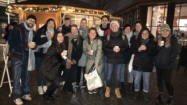 Group photo of Politics students at Christmas market in Denkmark