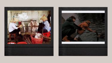 photo comp