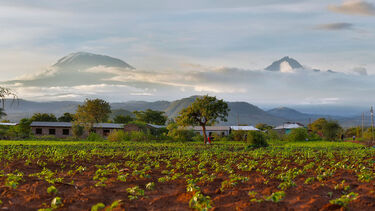 KEDA - kili 