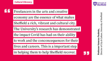 Professor Vanessa Toulmin quote 