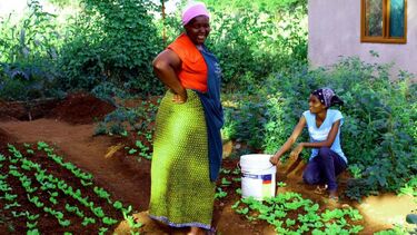 KEDA - veg patch