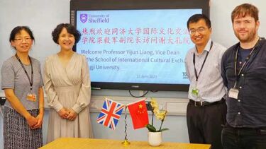 Professor Yijun Liang