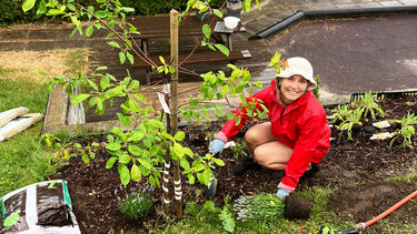 Neighbourhood Planting Project in Greater Oslo, Norway