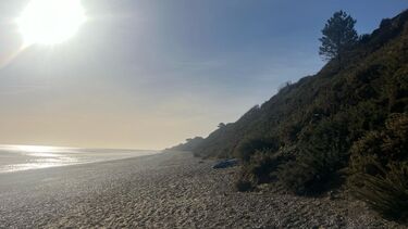Beech at sunset but it look all rather barren
