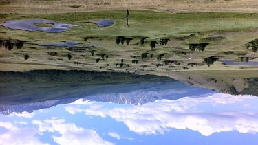 Siberian permafrost mire