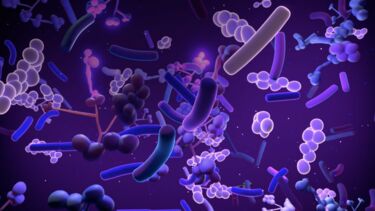 A graphic visualisation of bacteria in violet and blue tones. 
