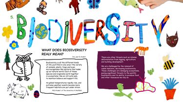 Image shows children's artwork for BioFest Zine