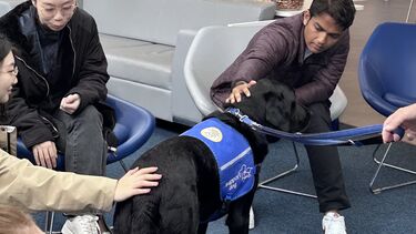 Students gathered around and petting a dog from the charity Support Dogs, as part of welcome week activities at the Management School