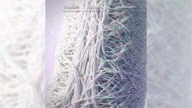 polyurethane mesh