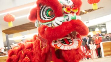 CI- Dragon Dance