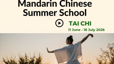 Tai Chi summer school 2026