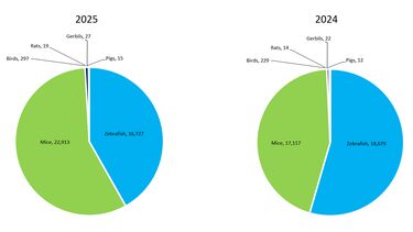 Pie chart showing number of regulated procedures, 2024-2025