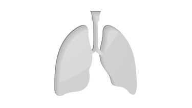 Safer scans thumbnail - research feature