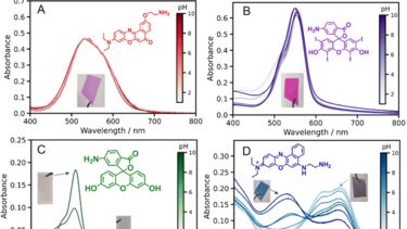 Pigment-polymer Antenna Complexes