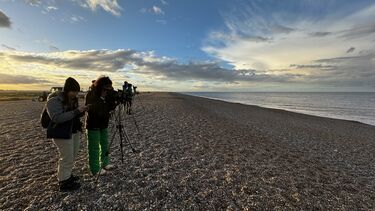 Students conducting field work on the beach in Norfolk