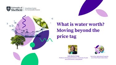 Poster for the Julia Martin-Ortega event featuring her profile photo and an illustration of a water droplet alongside the title of the event "What is water worth? Moving beyond the price tag"